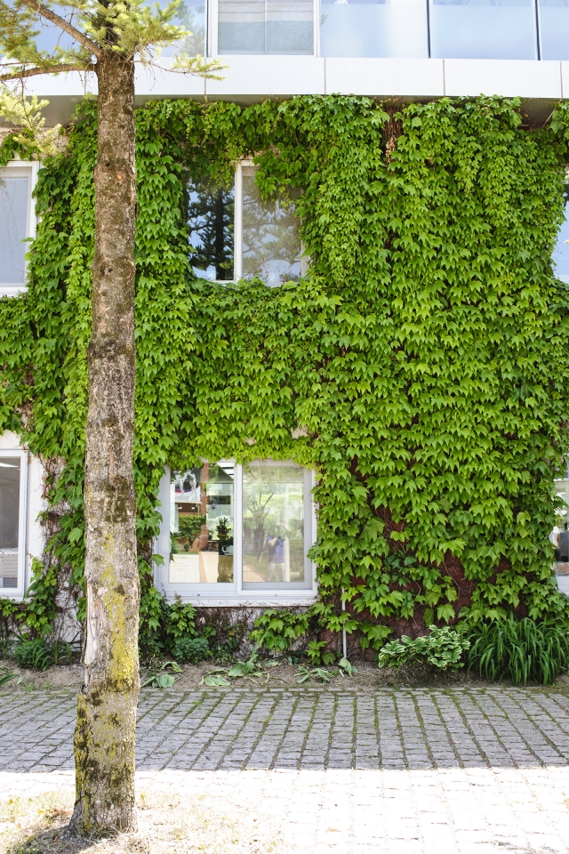 창에서 바라보는 풍경이 모두 내 집터입니다